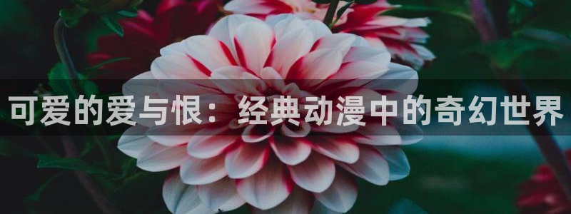 包子漫画app官网下载