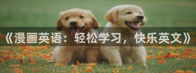 包子漫画免费入口页面：《漫画英语：轻松学习，快乐英文》