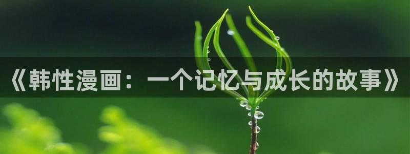 噬主漫画免费下拉式包子漫画：《韩性漫画：一个记忆与成长的故事》